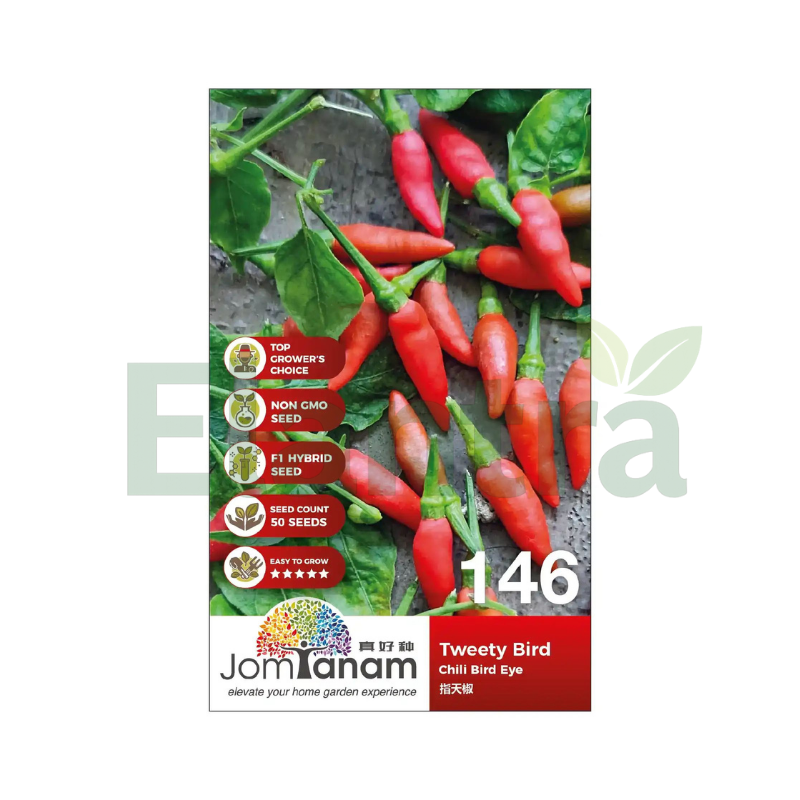 146 CHILI BIRD EYE